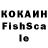 Галлюциногенные грибы Psilocybine cubensis KOTLETKA